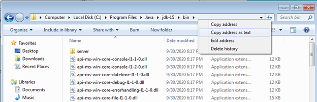 Java-installation-copy bin path